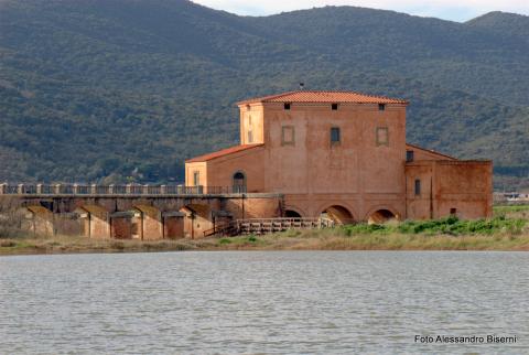 Castiglione della Pescaia